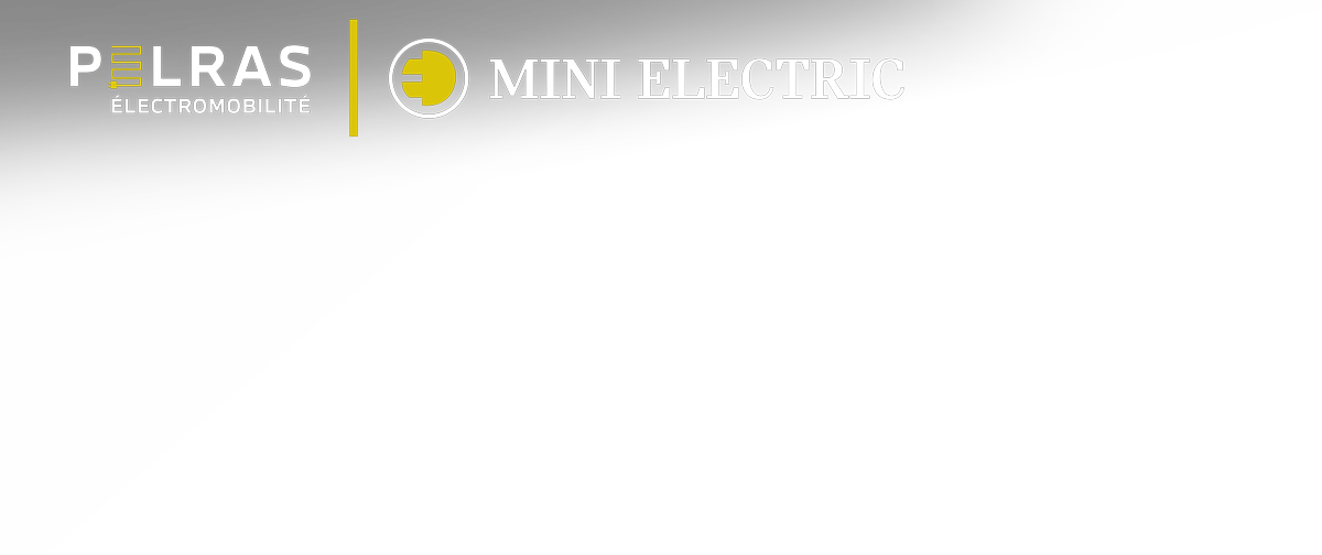 Pelras Mini Electric